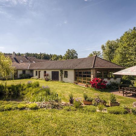 Penzion U Dracice Hotel Nová Bystřice Bagian luar foto