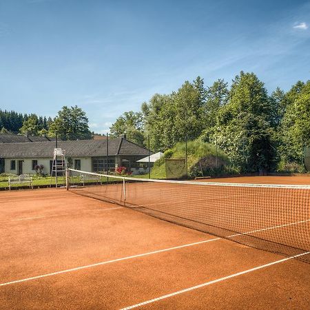 Penzion U Dracice Hotel Nová Bystřice Bagian luar foto