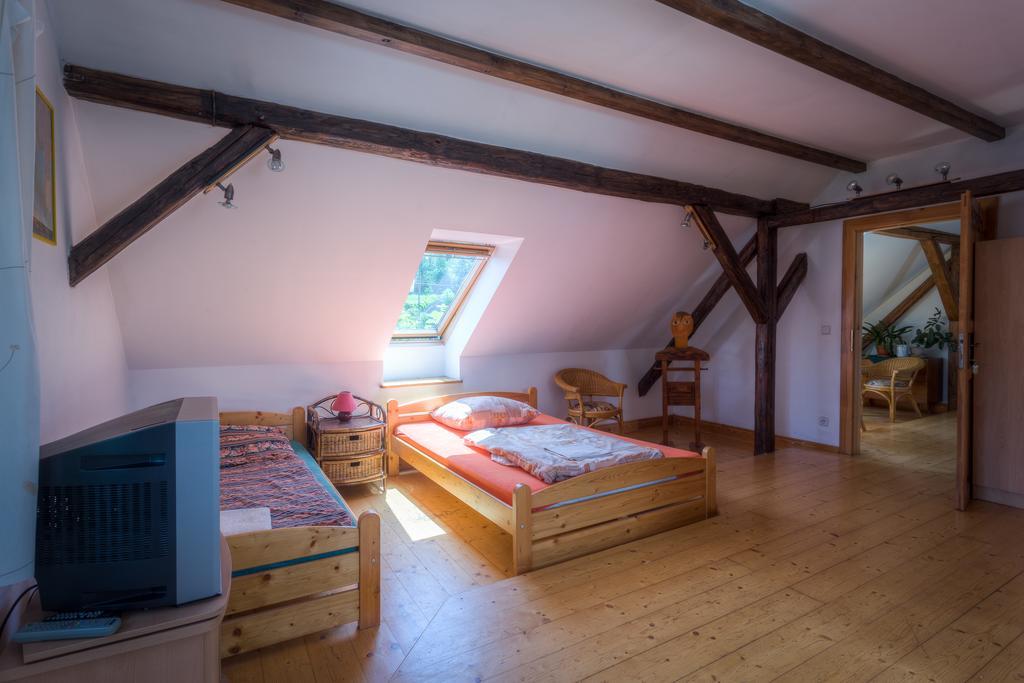 Penzion U Dracice Hotel Nová Bystřice Bagian luar foto