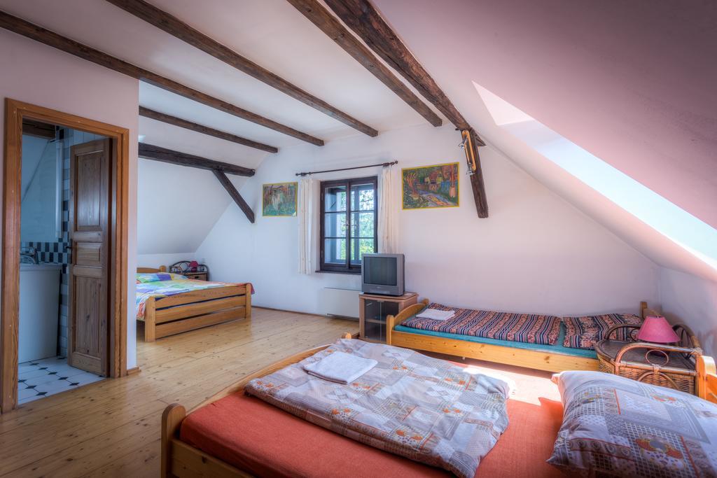 Penzion U Dracice Hotel Nová Bystřice Bagian luar foto